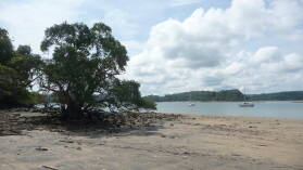 Isla Espiritu Santo.