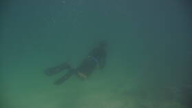Jagd bei Isla Espiritu Santo.