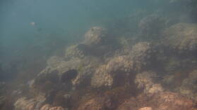 Schnorcheln bei Isla Espiritu Santo.