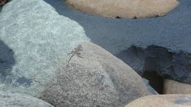 Waschplatz auf Isla del Rey.
