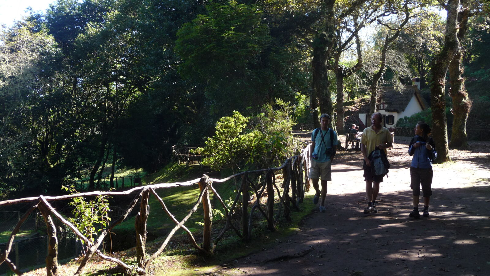 Levada do CaldeirÃ£o Verde.