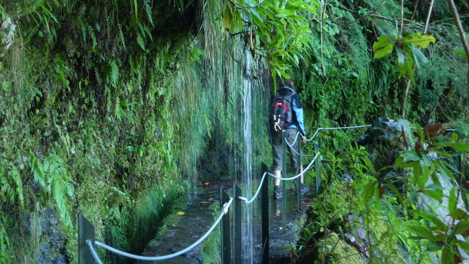 Levada do CaldeirÃ£o Verde.