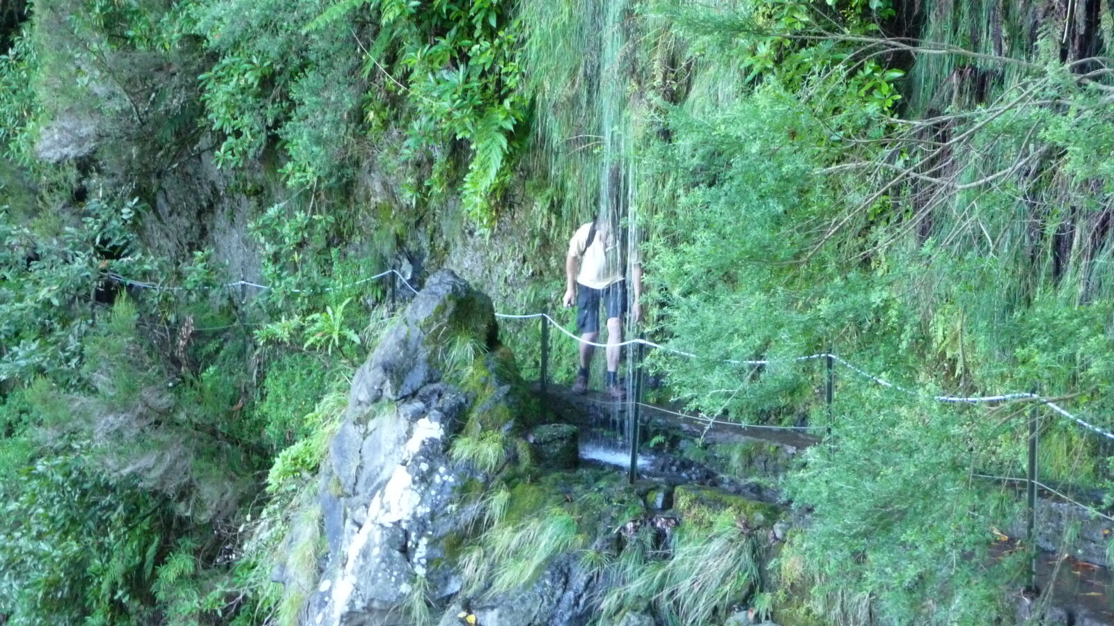 Levada do CaldeirÃ£o Verde.