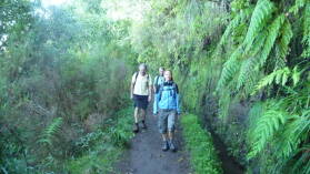 Levada do CaldeirÃ£o Verde.