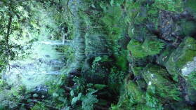 Levada do CaldeirÃ£o Verde.