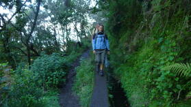 Levada do CaldeirÃ£o Verde.