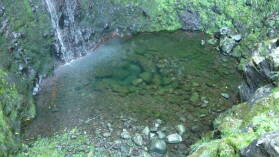 Levada do CaldeirÃ£o Verde.