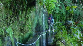 Levada do CaldeirÃ£o Verde.