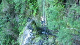 Levada do CaldeirÃ£o Verde.