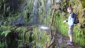 Levada do CaldeirÃ£o Verde.