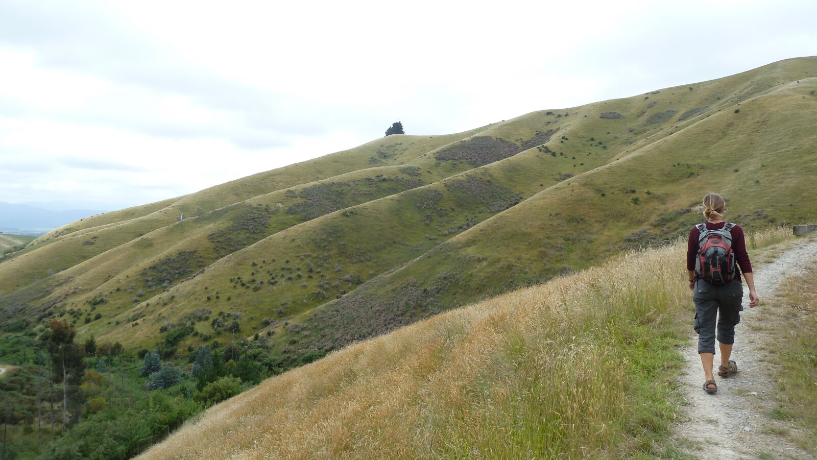Wither Hills Farm Park, Blenheim.