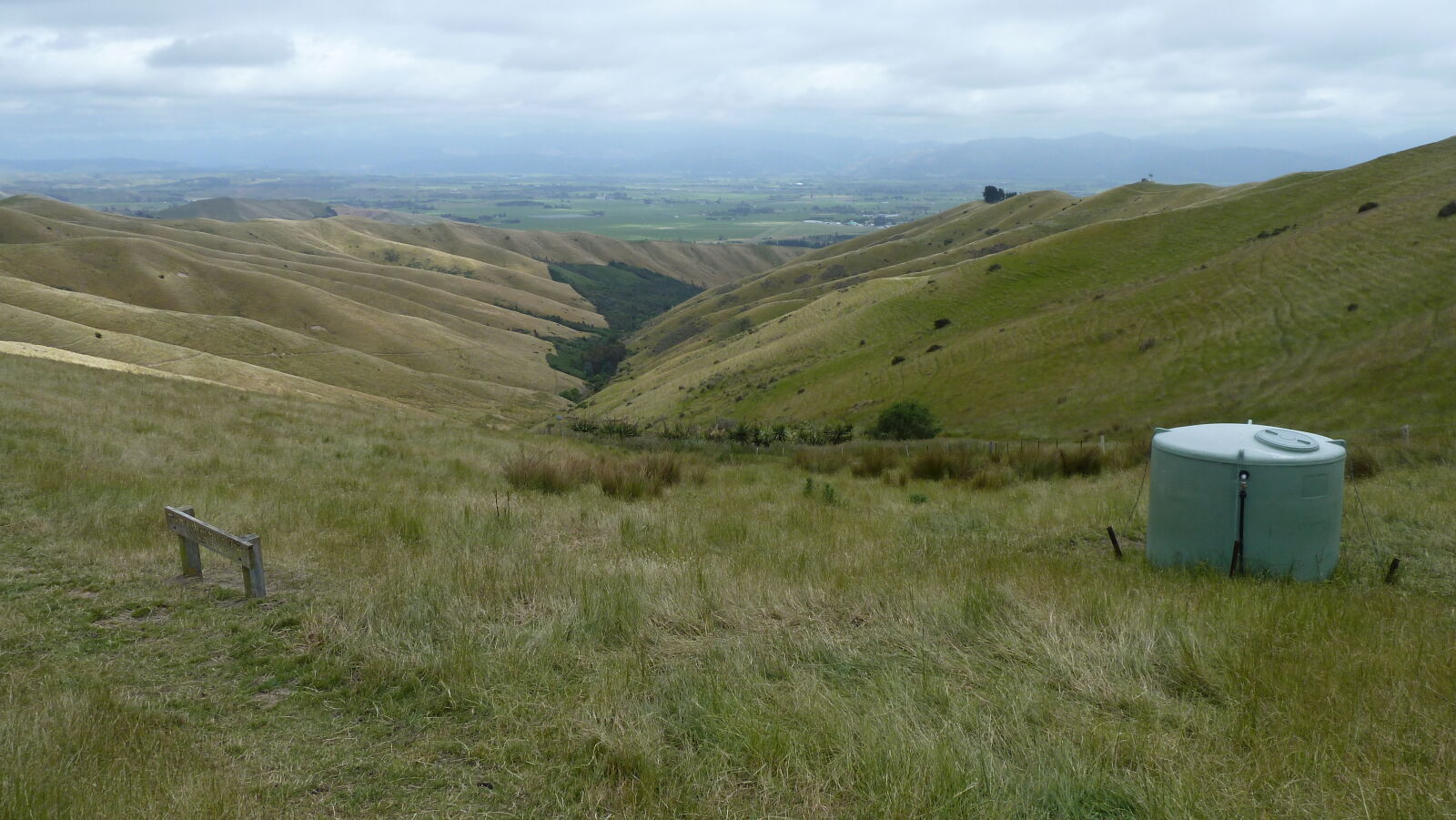 Wither Hills Farm Park, Blenheim.