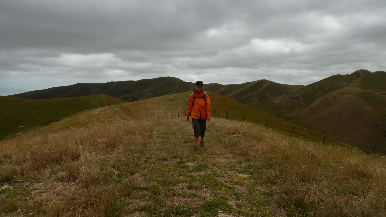 Wither Hills Farm Park, Blenheim.
