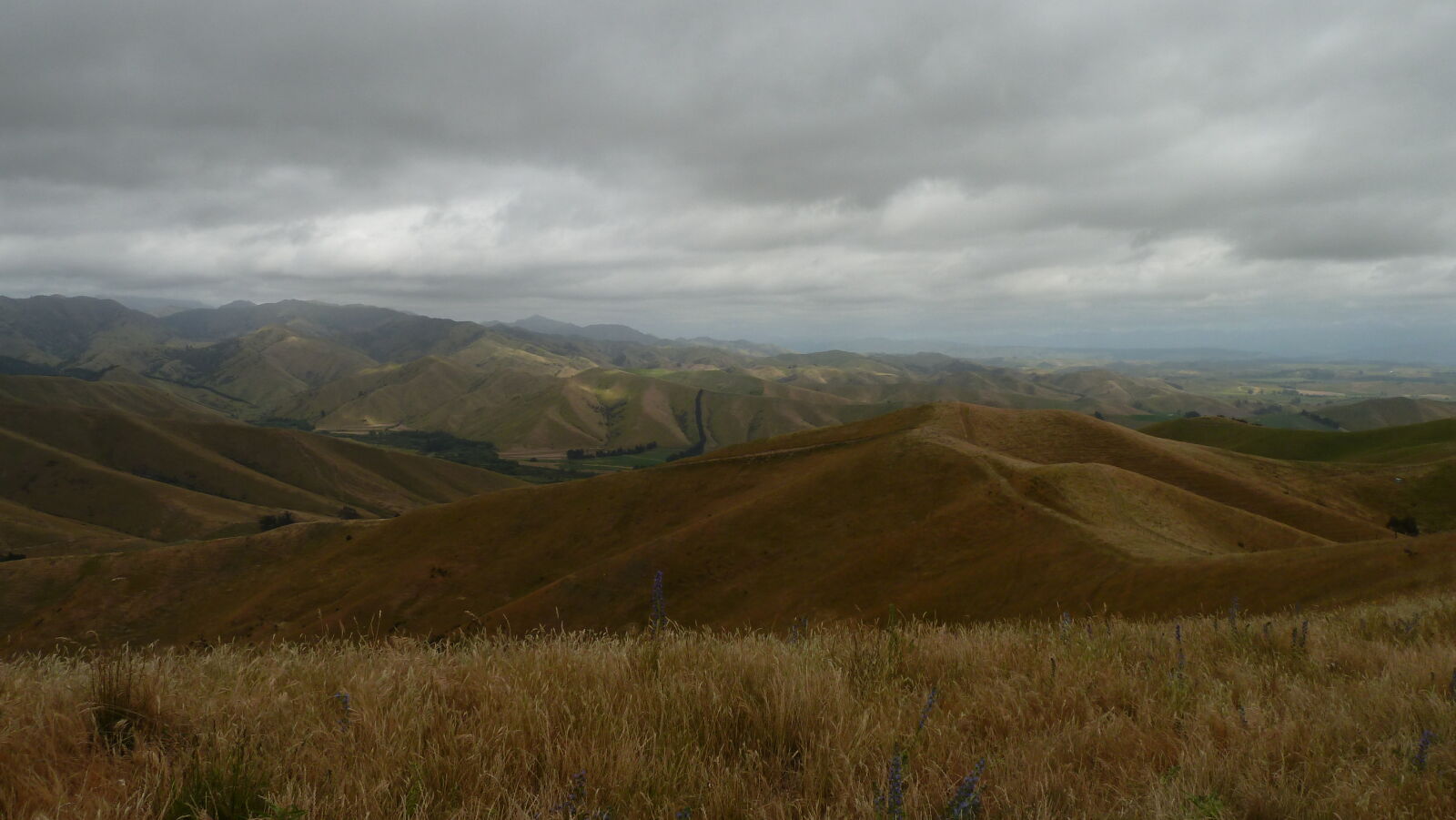 Wither Hills Farm Park, Blenheim.