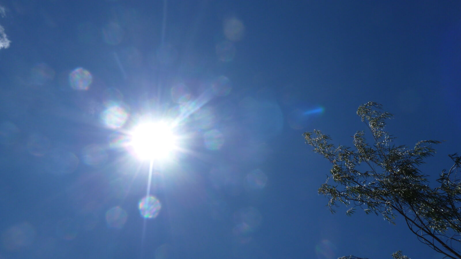 Sonne!!!!!!!!!