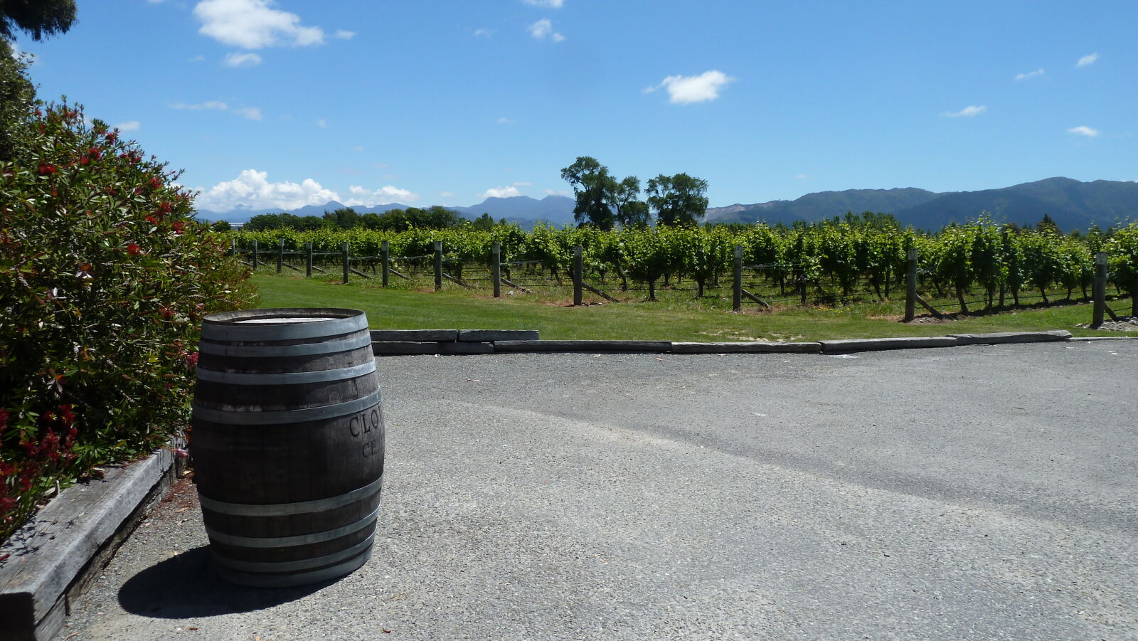 Cloudy Bay, Blenheim.