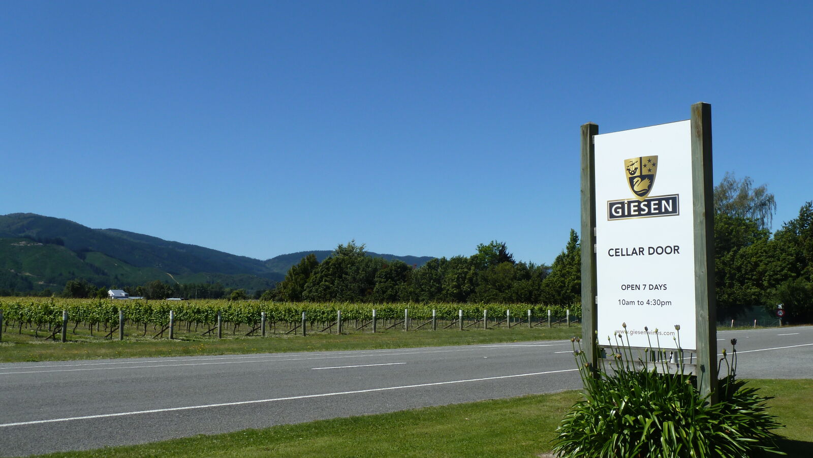 Blenheim.