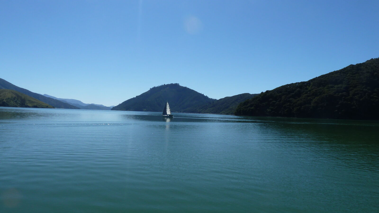 Pelorus Sound.