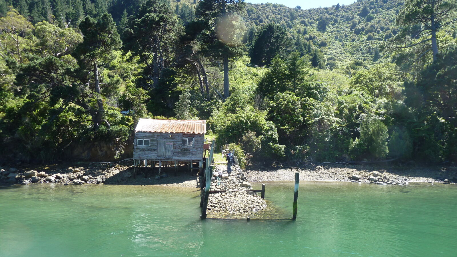 Pelorus Sound.