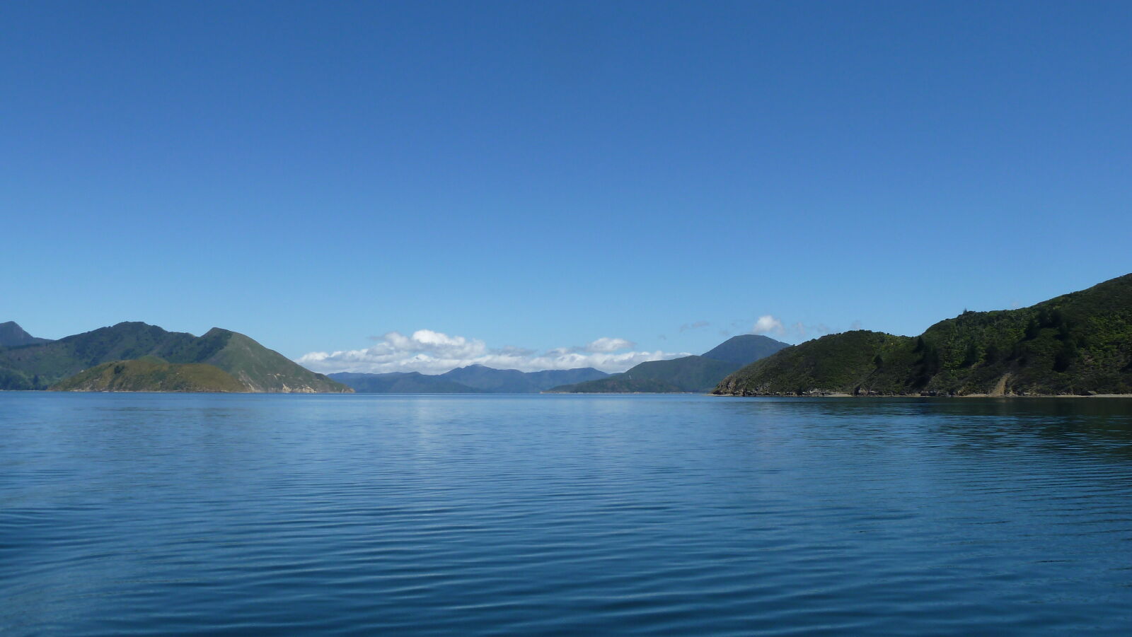 Pelorus Sound.