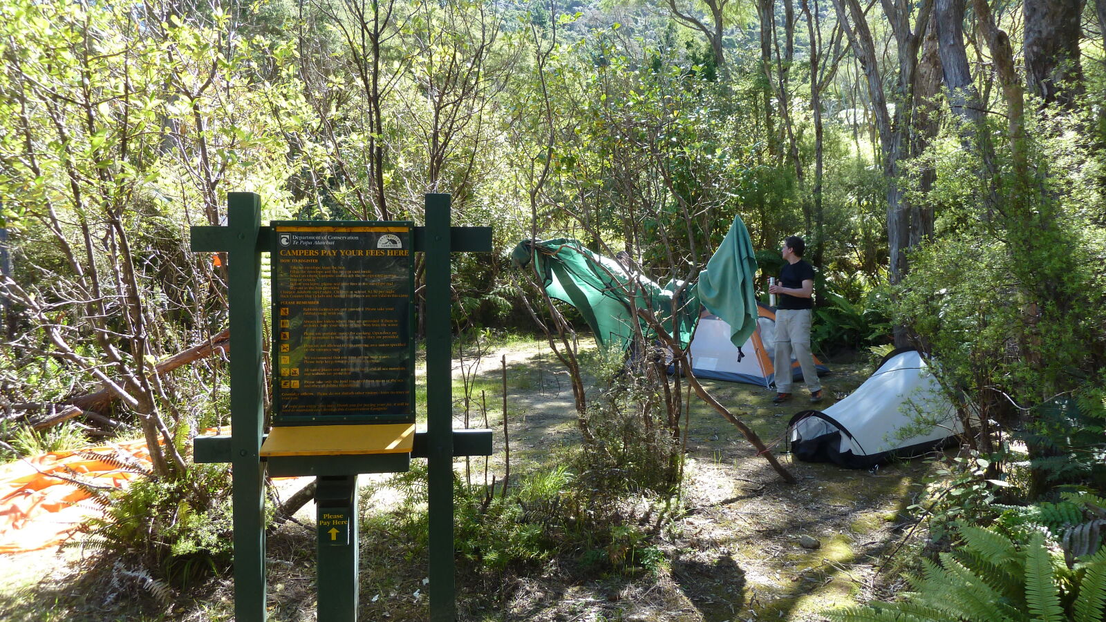 Nydia Bay Campground, Nydia Track.