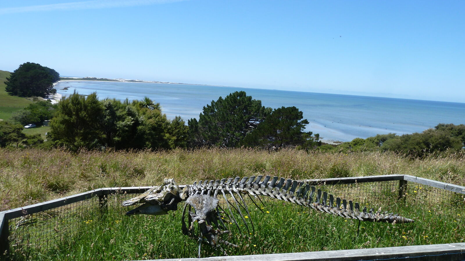 Farewell Spit.