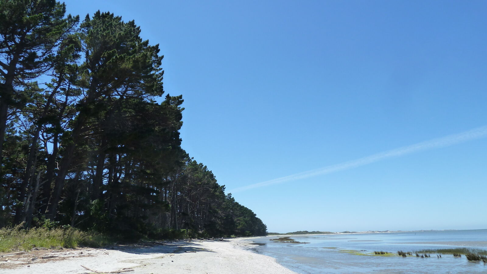 Farewell Spit.