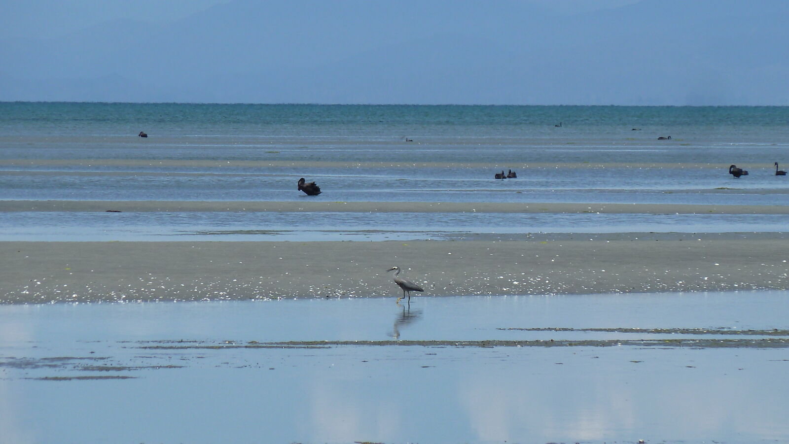 Farewell Spit.