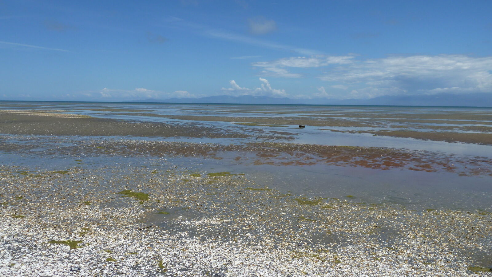 Farewell Spit.