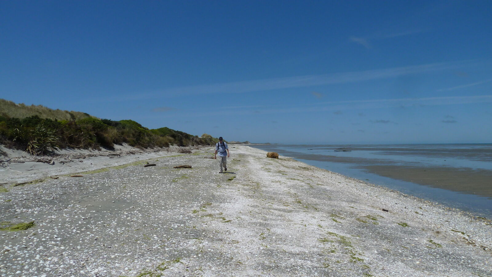 Farewell Spit.