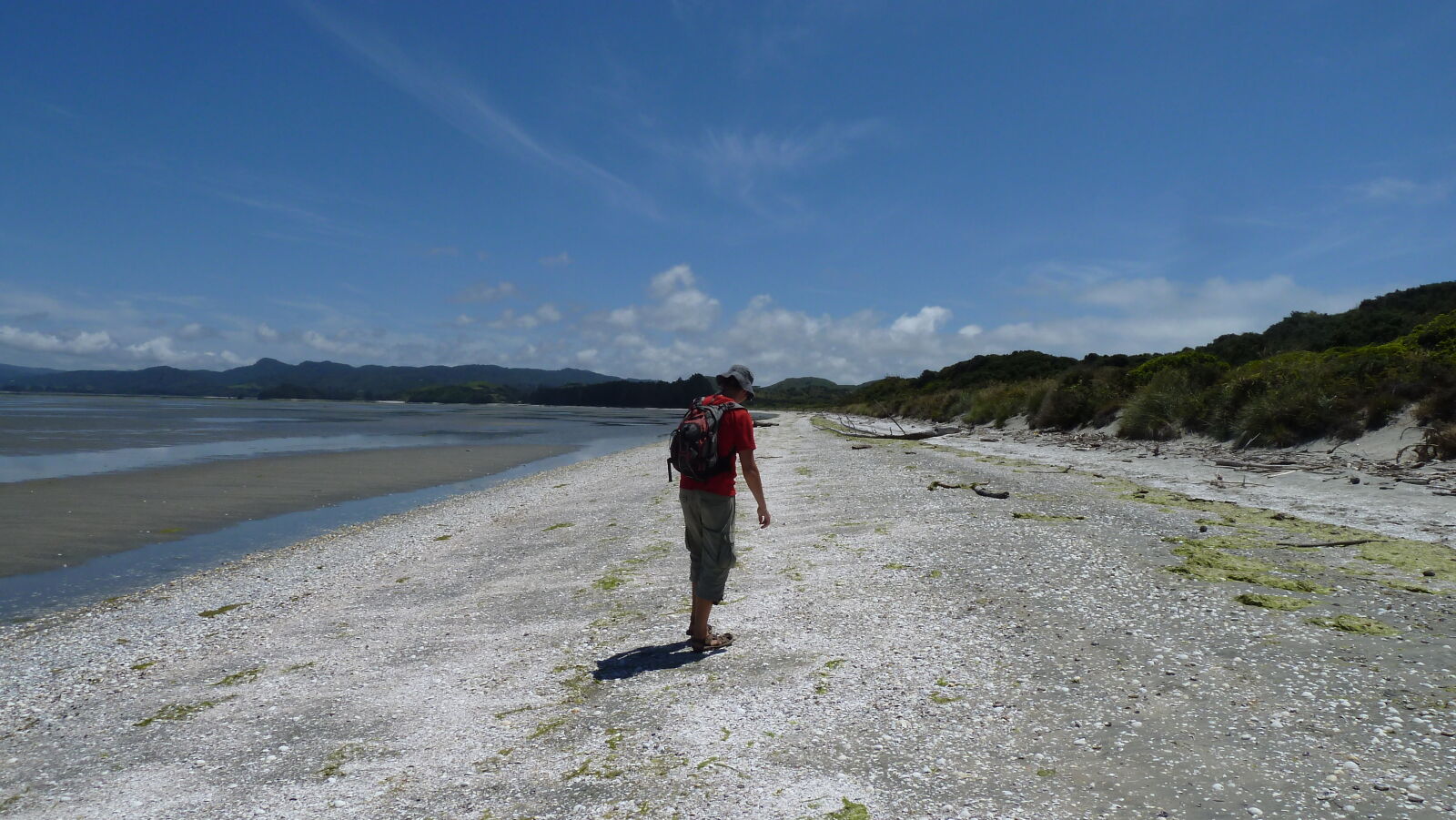 Farewell Spit.