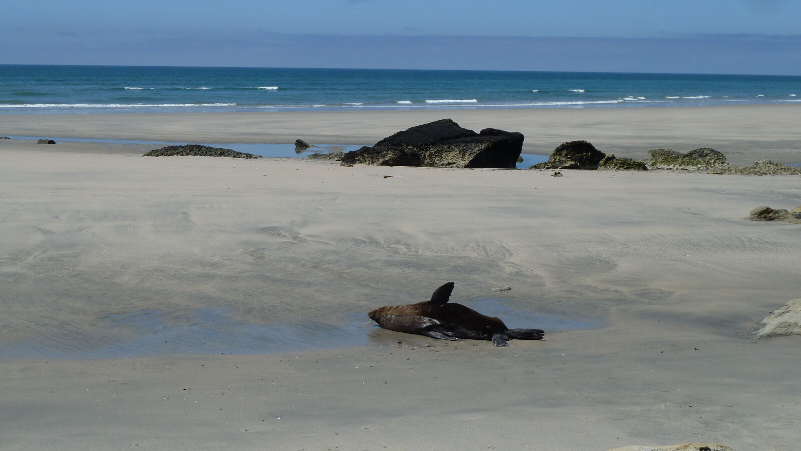 Farewell Spit.