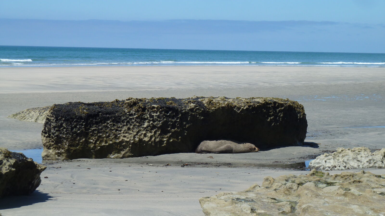 Farewell Spit.