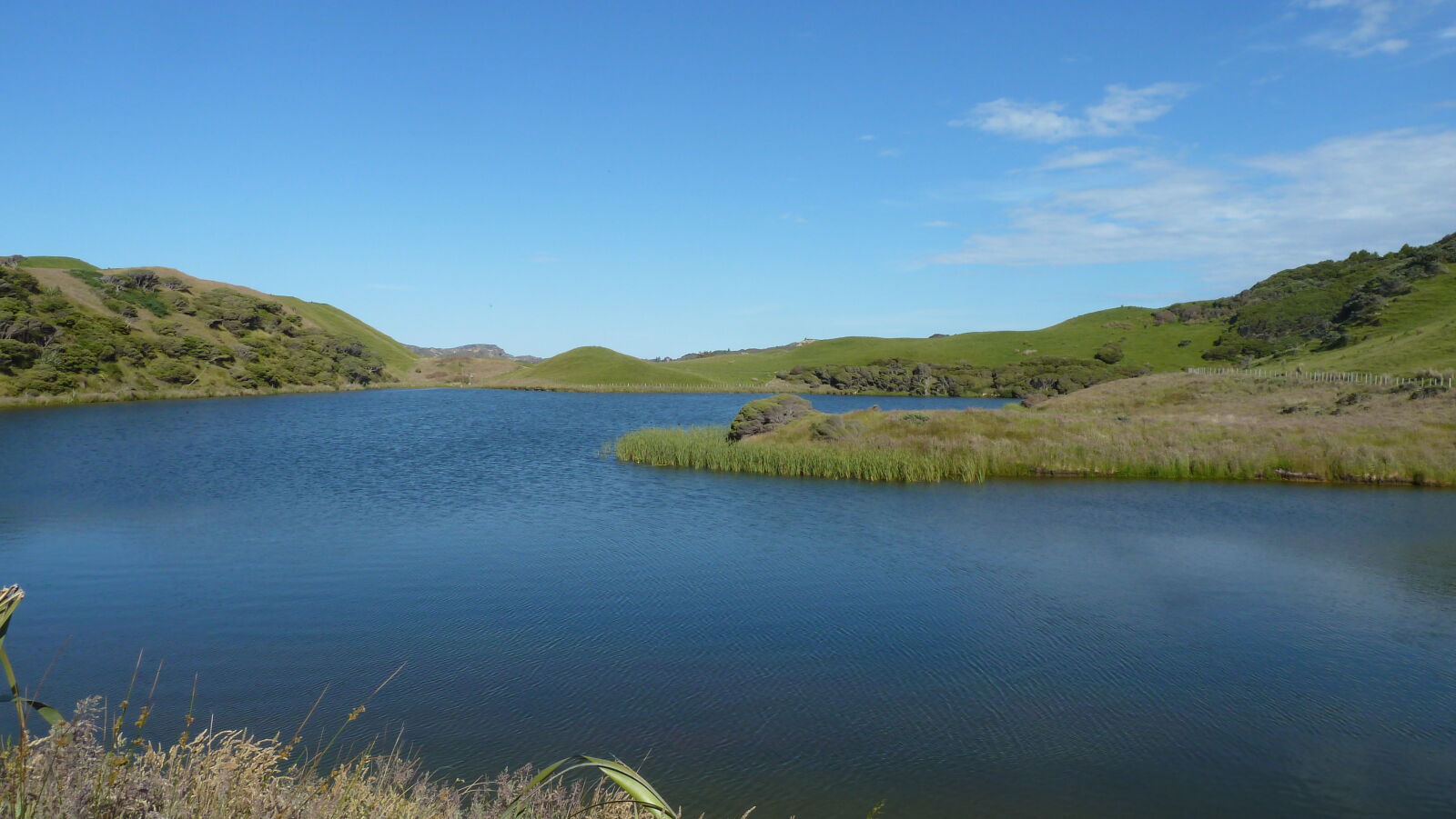 Wharariki Beach Track.