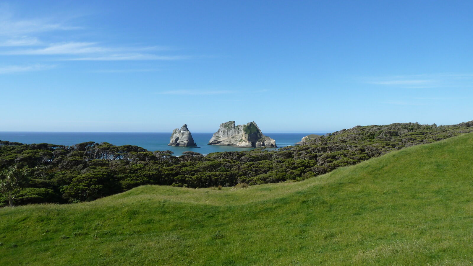 Wharariki Beach Track.