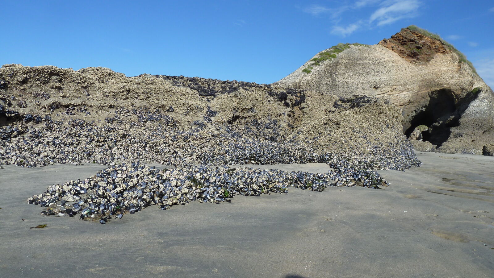 Wharariki Beach.