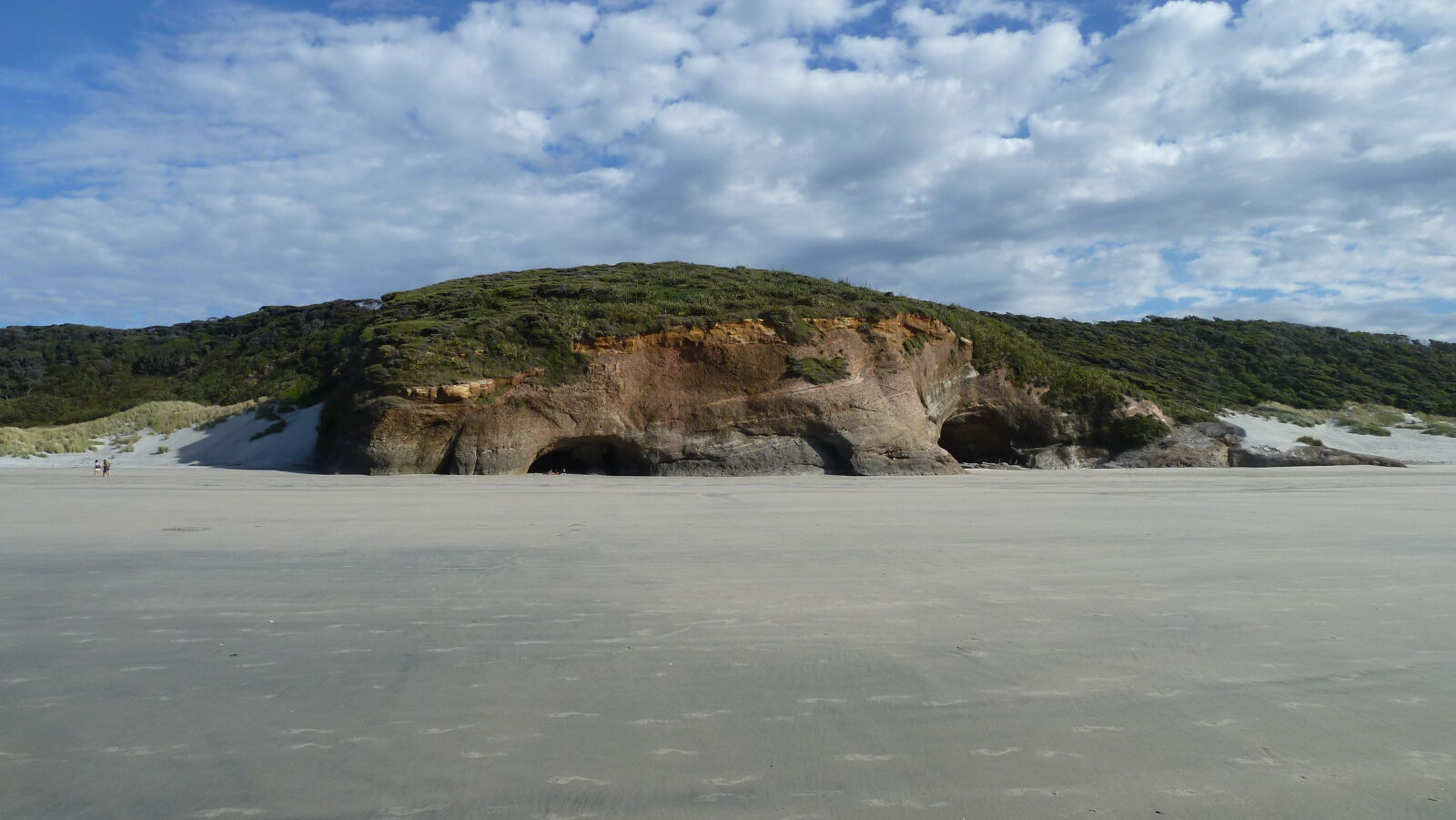 Wharariki Beach.