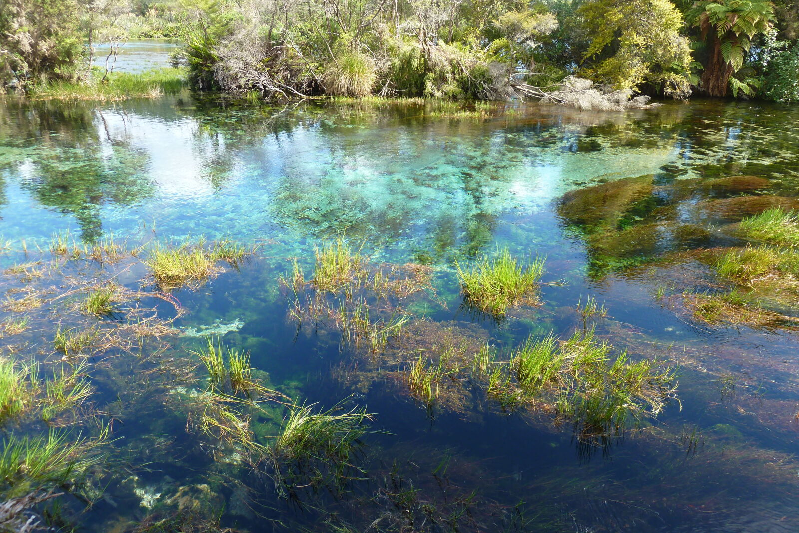 Waikoropupu Springs.