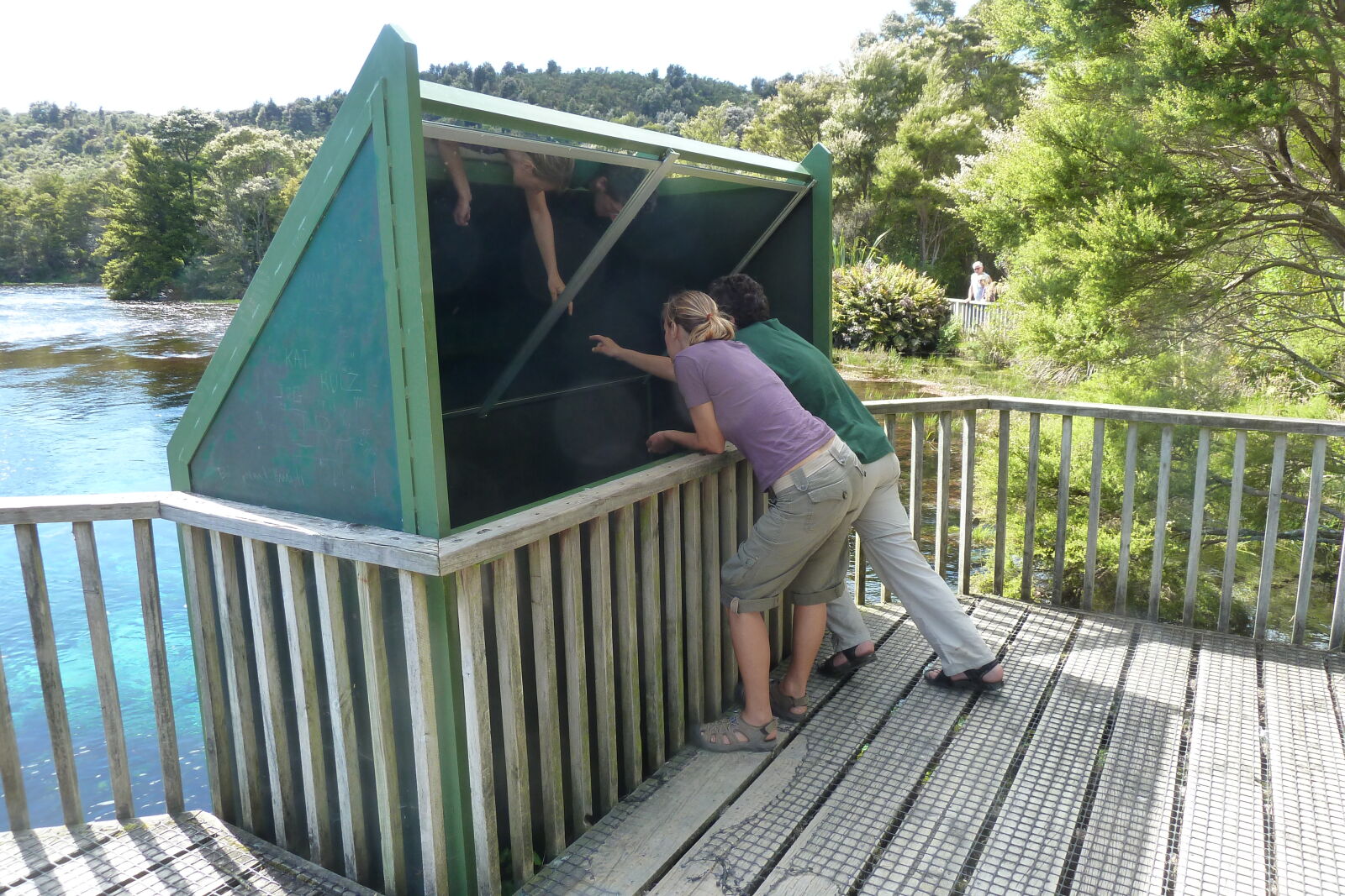 Waikoropupu Springs.