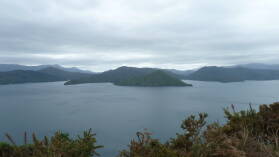 Queen Charlotte Sound.