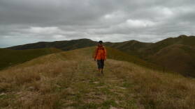 Wither Hills Farm Park, Blenheim.