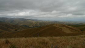 Wither Hills Farm Park, Blenheim.
