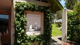 Cloudy Bay, Blenheim.