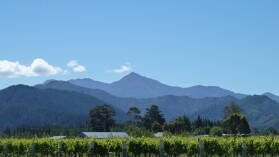 Blenheim.