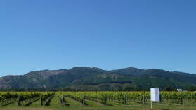 Blenheim.