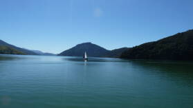 Pelorus Sound.