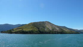 Pelorus Sound.