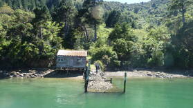 Pelorus Sound.