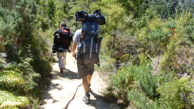 Nydia Bay, Nydia Track.