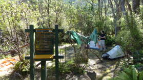 Nydia Bay Campground, Nydia Track.
